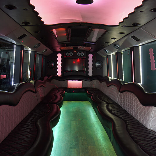 35-passenger party bus rentals